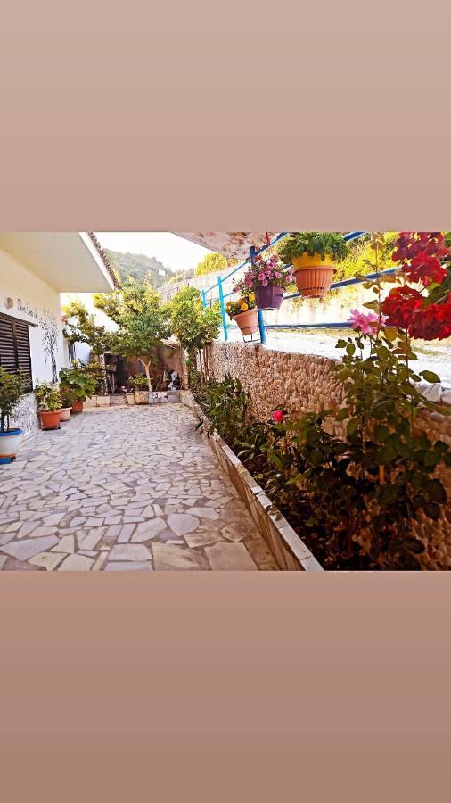 Olive Tree Villa Ліґія Екстер'єр фото