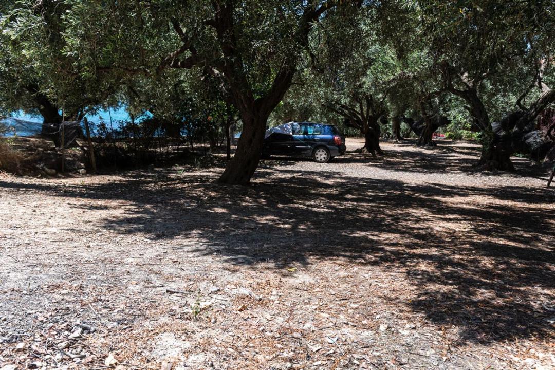 Olive Tree Villa Ліґія Екстер'єр фото