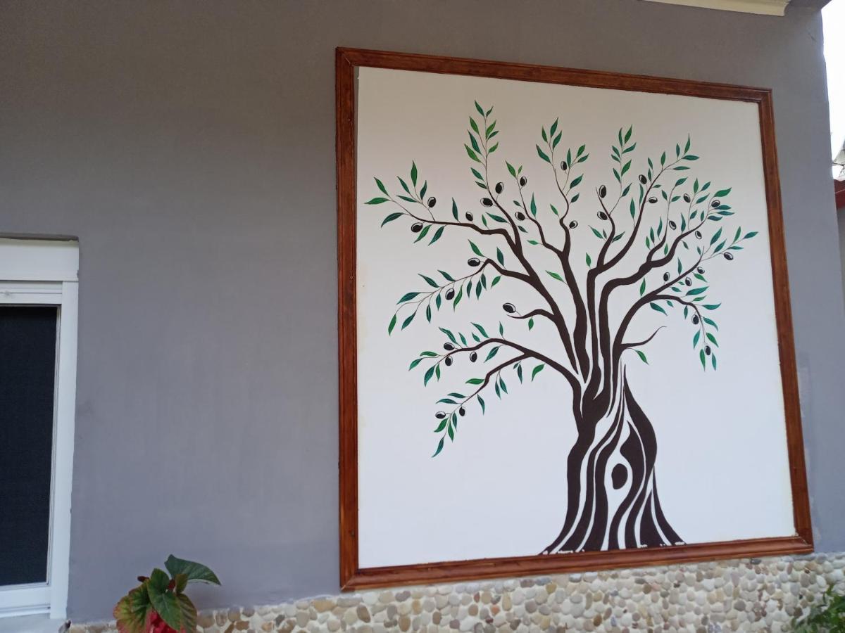 Olive Tree Villa Ліґія Екстер'єр фото
